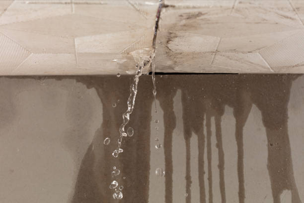 Professional Burst Pipe Cleanup technician working in Celeste, TX